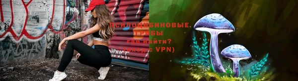 гидра Мосальск