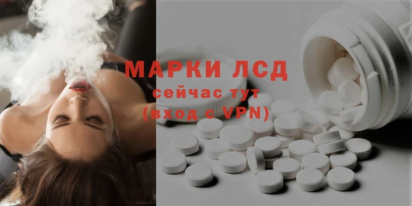 стафф Снежногорск