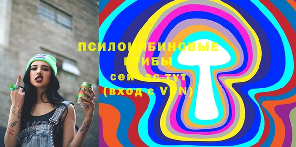 стафф Снежногорск