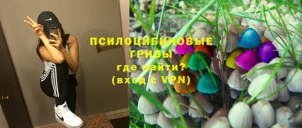 стафф Снежногорск