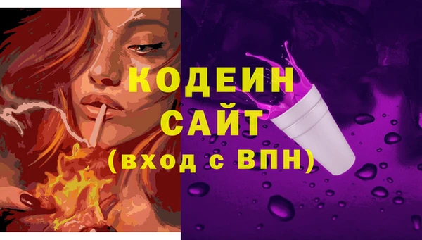 стафф Снежногорск